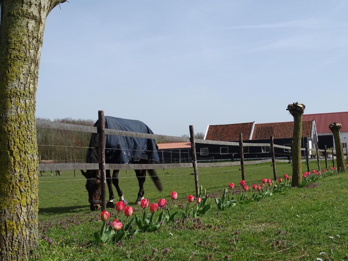 مبيت وإفطار Noordgouwe De Tulp المظهر الخارجي الصورة