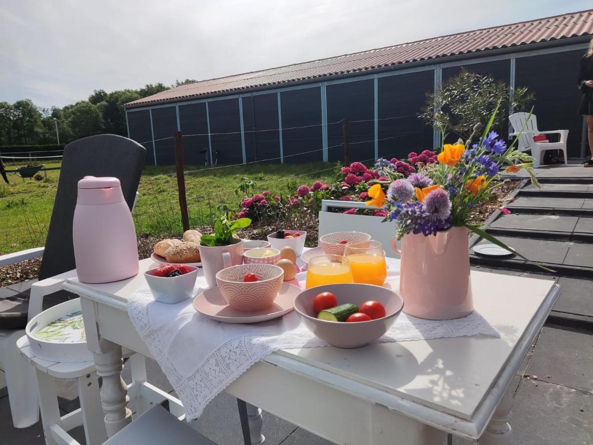 مبيت وإفطار Noordgouwe De Tulp المظهر الخارجي الصورة